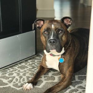 Meet your Posher, Crystal